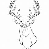Deer Coloring Pages Head Drawing Draw Outline Realistic Reindeer Whitetail Kids Print Printable Buck Color Tailed Face Simple Paw Patrol sketch template