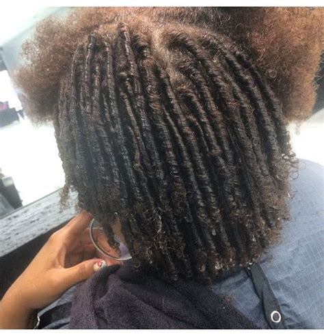 comb coils starter locs hairstyles to try pinterest