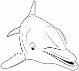 Golfinho Desenho Golfinhos Fazer sketch template