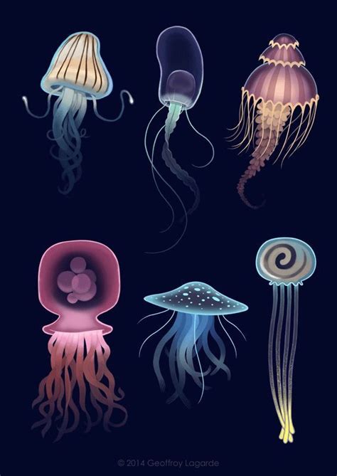 pin  stephen ho  animals jellyfish design jellyfish drawing