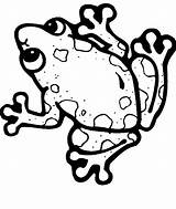 Frog Frogs Clipartmag Amphibian sketch template