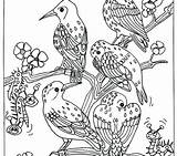 Coloring Bird Pages Birds Realistic Colouring Prey Tree Flowers Sitting Group Owl Colorings Getdrawings Getcolorings Parrot Hellokids Color sketch template