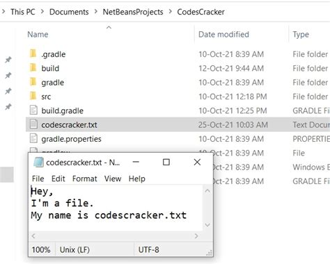 java program  read  file  display  contents