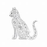 Coloring Pages Cat Adults Adult Cats Print Printable Blank Kitten Template Pdf Book Color піна походження Etsy sketch template