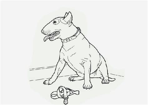 pitbull coloring page  coloring pages  coloring books  kids