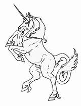 Coloring Pages Pegasus Unicorn Unicorns Fantasy Kids Maze Fun Horse Gif Kleurplaten Herald Print Personal Create Color sketch template