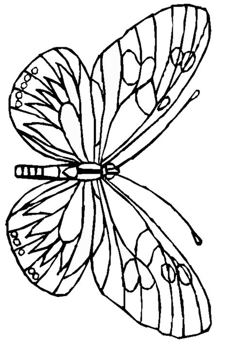 butterfly drawings  print color en coloriage papillon  xxx hot girl
