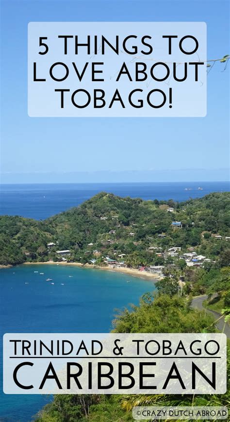 5 Things To Love About Tobago Crazy Dutch Abroad