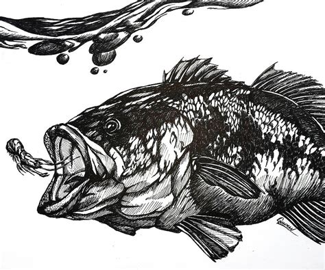 Largemouth Bass Drawing By Greg Lowman