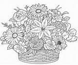 Coloring Pages Printable Adults Adult Print Sheets Flower Colouring Books Cool Kids Patterns Dessin Imprimer Adulte Coloriage Detailed Flowers Bezoeken sketch template