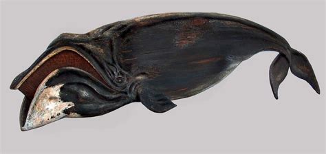 bowhead whale balaena mysticetus moderately endangered