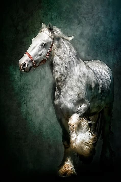 The Silver Gypsy By Brian Tarr Redbubble