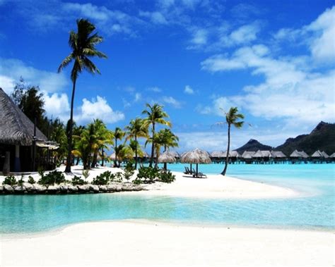 Bora Bora World S Exotic Beaches