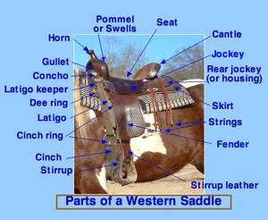 western saddle parts       called helpful horse hints