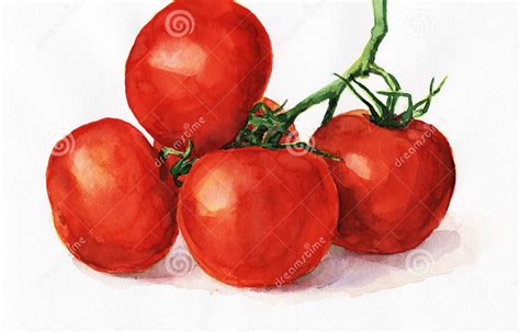 peindre des tomates en vidéo pearltrees