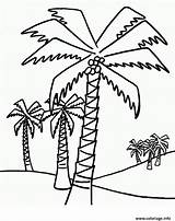 Palmier Palmiers Coloriage Plusieurs sketch template