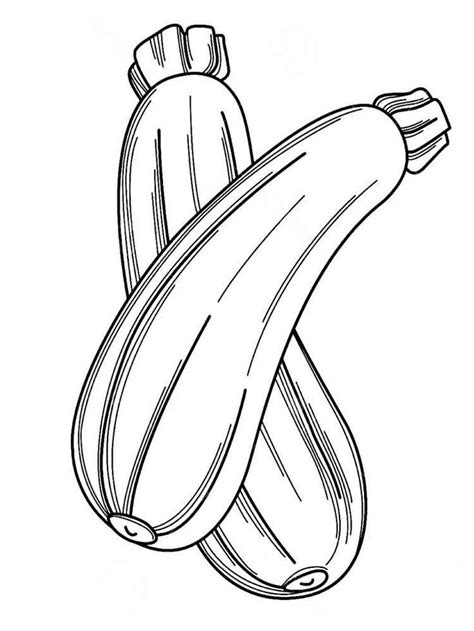 zucchini coloring pages fruit coloring pages coloring pages