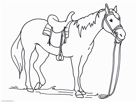 printable coloring page horse great coloring home