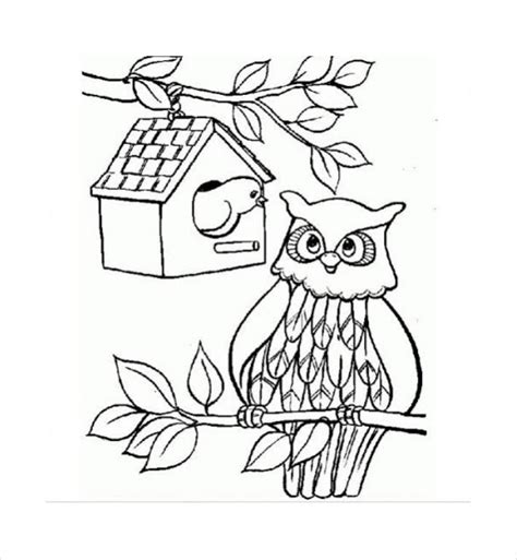 owl coloring pages  ai
