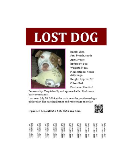 lost pet flyers missing cat dog poster templatearchive