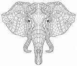 Depositphotos Coloring Elephant sketch template