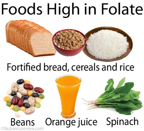 folate sources functions benefits side effects deficiency
