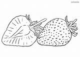 Erdbeere Querschnitt Obst Ausmalbild Malvorlage Regenbogen sketch template