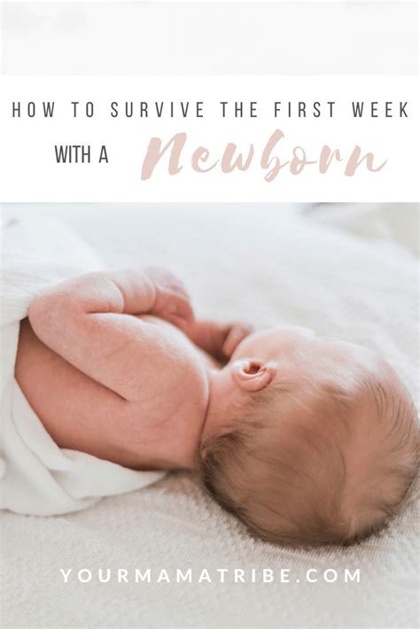 surviving   week home   newborn navigating   week   adjust