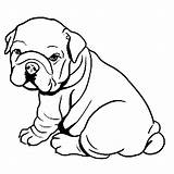 Puppy Bulldog Fat Coloring Pages Dog Printable Categories Animals sketch template