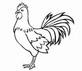 Chook Drawing Rooster Drawings Getdrawings sketch template