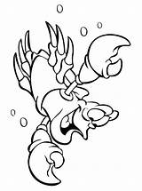 Kreeft Hummer Kreeften Ausmalbilder Lobster Malvorlage Stimmen sketch template