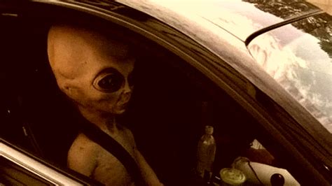 alien passenger discovered  car pulled   speeding abc