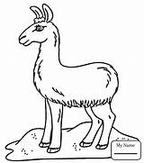 Dam Coloring Pages Getdrawings Llama sketch template