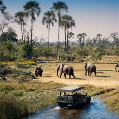 4 day tour to victoria falls and chobe game reserve uniq africa travel
