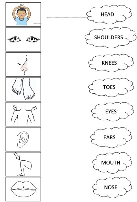body parts head shoulders   teachers