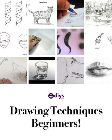 sketch  basic drawing techniques  beginners project isabella