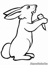 Rabbit Kelinci Rabbits Mewarnai Wortel Makan Sketsa Hase Lucu Diwarnai Hitam Carrot Coloring4free Wolf Ausmalbilder Binatang Contoh Imut Carrots Anda sketch template