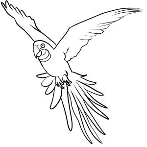 bird coloring pages   coloring sheets bird coloring