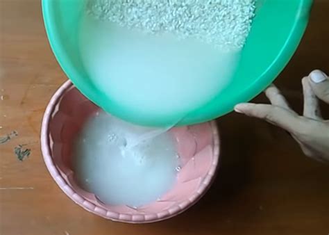 membuat pupuk organik cair  air cucian beras kampus tani