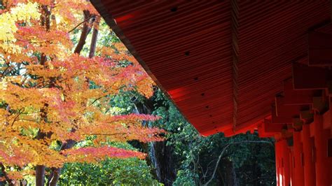 autumn festivals  celebrate  japan