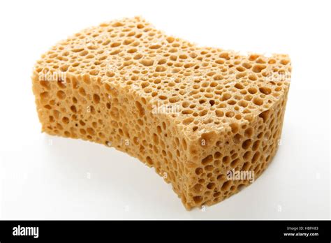 sponge stock photo alamy