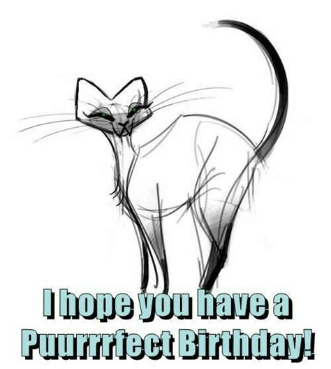 Purrrrrrrrfect Birthday 🐱 Birthday Blessings Birthday Happy Birthday