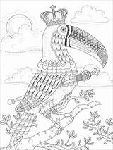 Coloring Toucan Adult Pages Super Paint Printable Coloringbay King Template sketch template