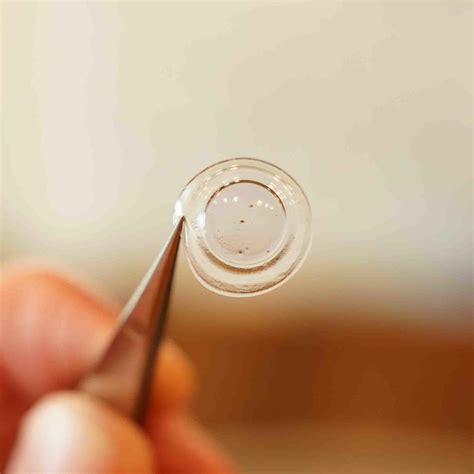 hybrid contact lens   eye care