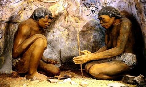 lengkap jenis jenis manusia purba  ditemukan  indonesia asal