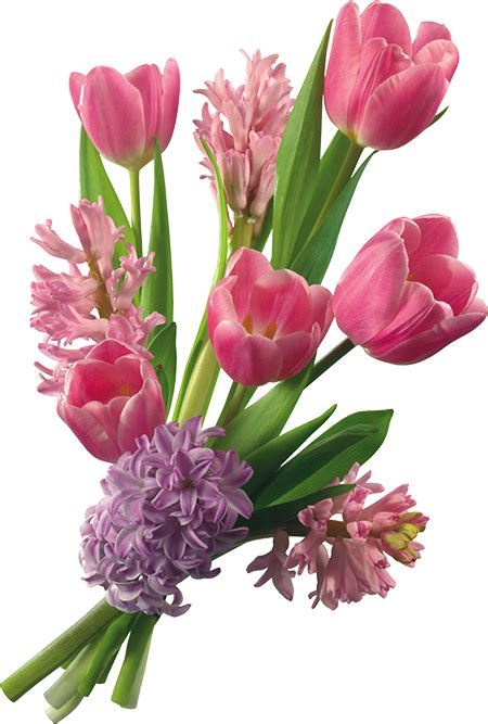 pin by silvana dragneva on cvetia tulip bouquet bouquet flowers