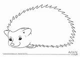 Hedgehog Hedgehogs Coloring Pages Drawing Frame Printables Draw Autumn Porcupine Kids Cartoon Printable Colour Writing Cute Drawings Easy Learn Fall sketch template