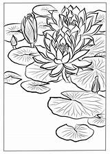 Lilies Monet Ohara Koson sketch template