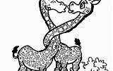 Coloring Pages Animal Cool Teens Printable Girls Christmas Getcolorings Giraffe Popular Colouring Color sketch template