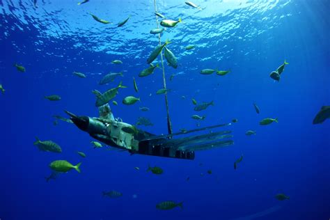 underwater drones    detect enemy submarines piracy  illegal fishing video